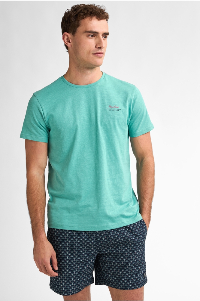 T SHIRT MET PRINT OP DE RUG M 1050 TSR647 6169 AQUA GREEN